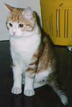 Leo
