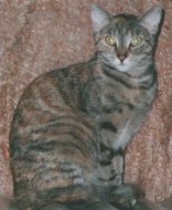 Rosita